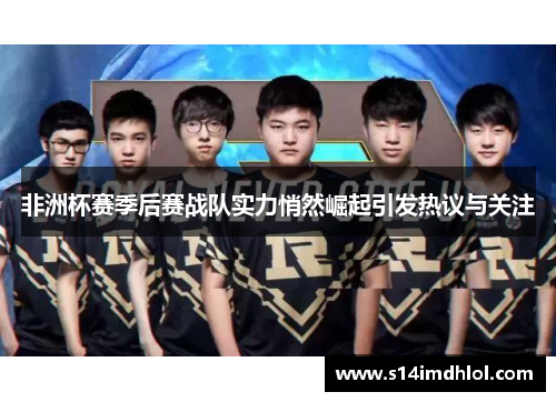 非洲杯赛季后赛战队实力悄然崛起引发热议与关注