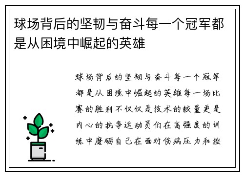 球场背后的坚韧与奋斗每一个冠军都是从困境中崛起的英雄